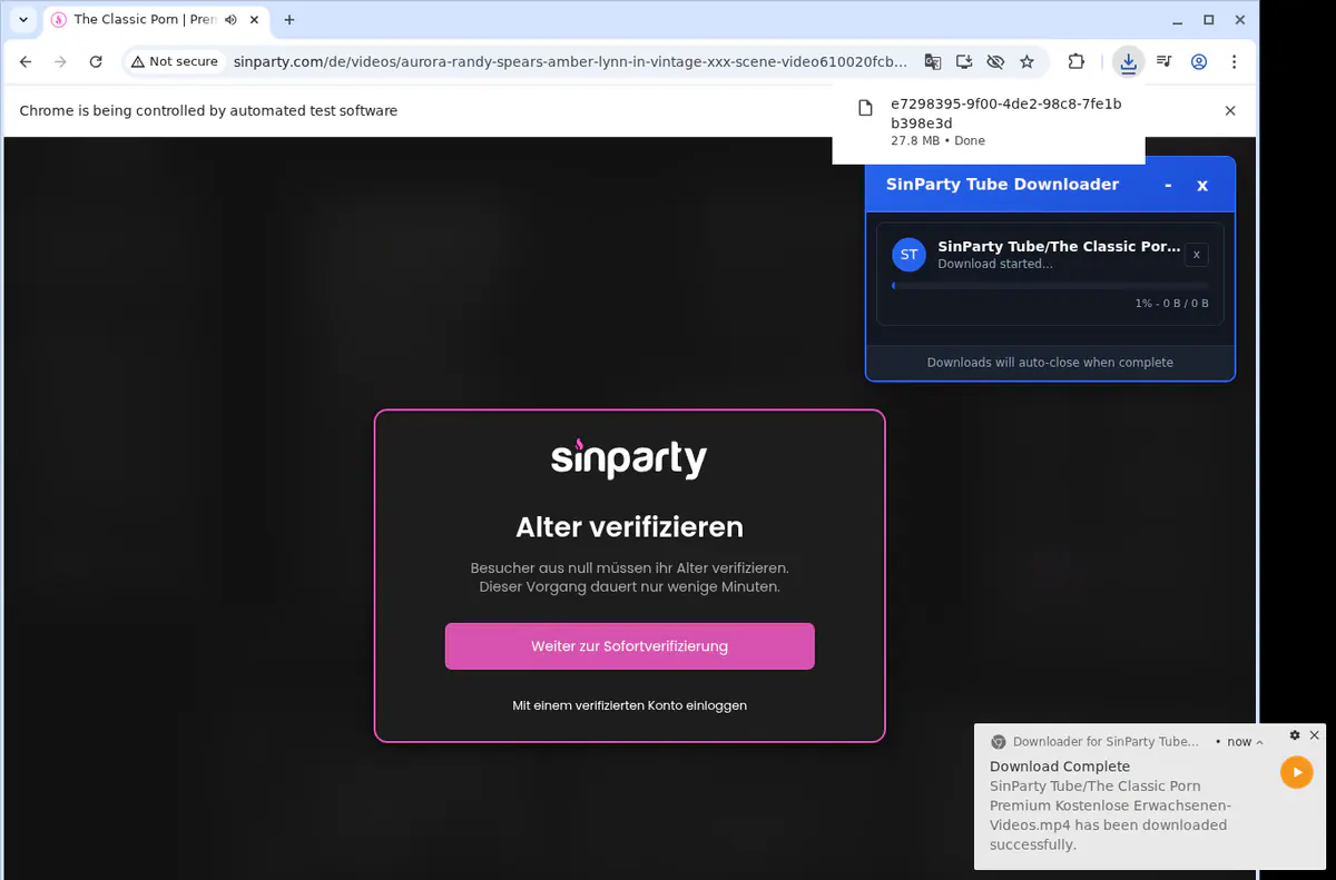 Sinpartytube Video Downloader browser extension screenshot 2