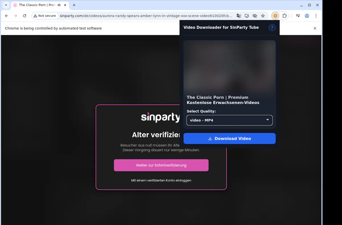 Sinpartytube Video Downloader browser extension screenshot 3