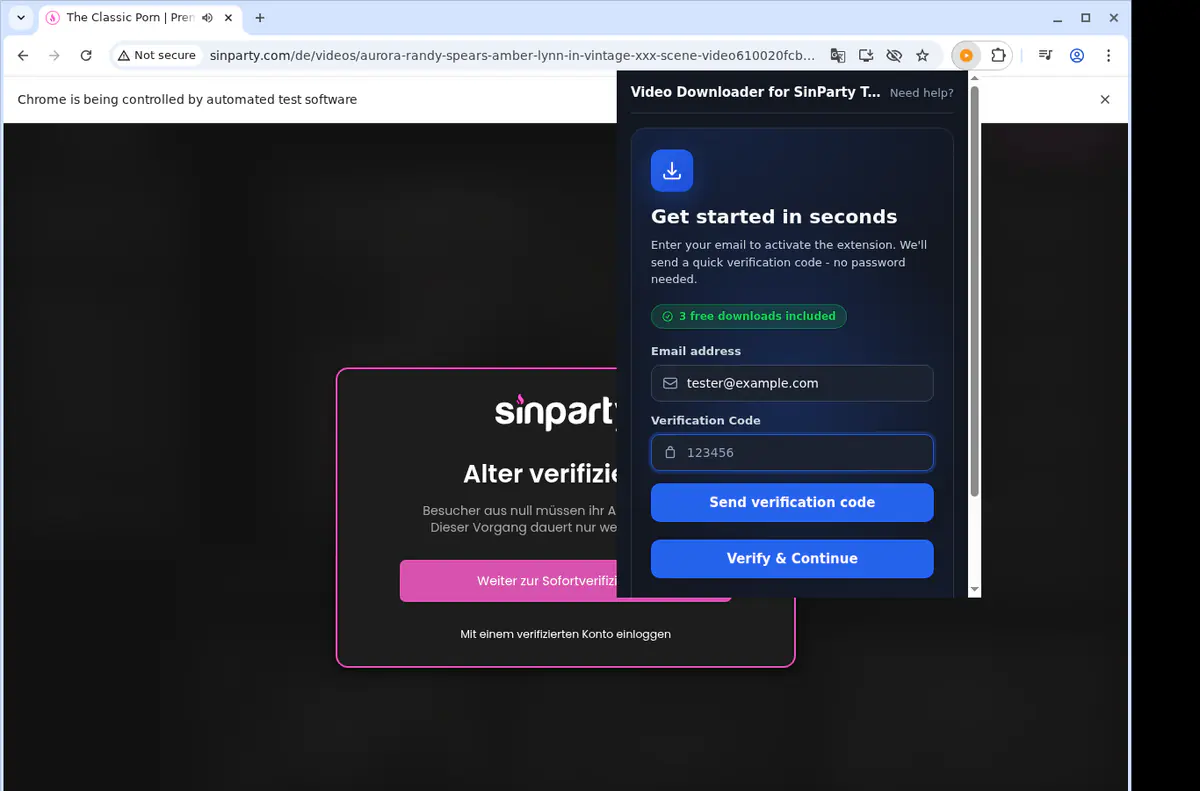 Sinpartytube Video Downloader browser extension screenshot 4