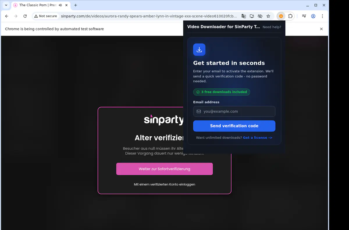 Sinpartytube Video Downloader browser extension screenshot 5